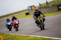 PJ-Motorsport-2019;anglesey-no-limits-trackday;anglesey-photographs;anglesey-trackday-photographs;enduro-digital-images;event-digital-images;eventdigitalimages;no-limits-trackdays;peter-wileman-photography;racing-digital-images;trac-mon;trackday-digital-images;trackday-photos;ty-croes